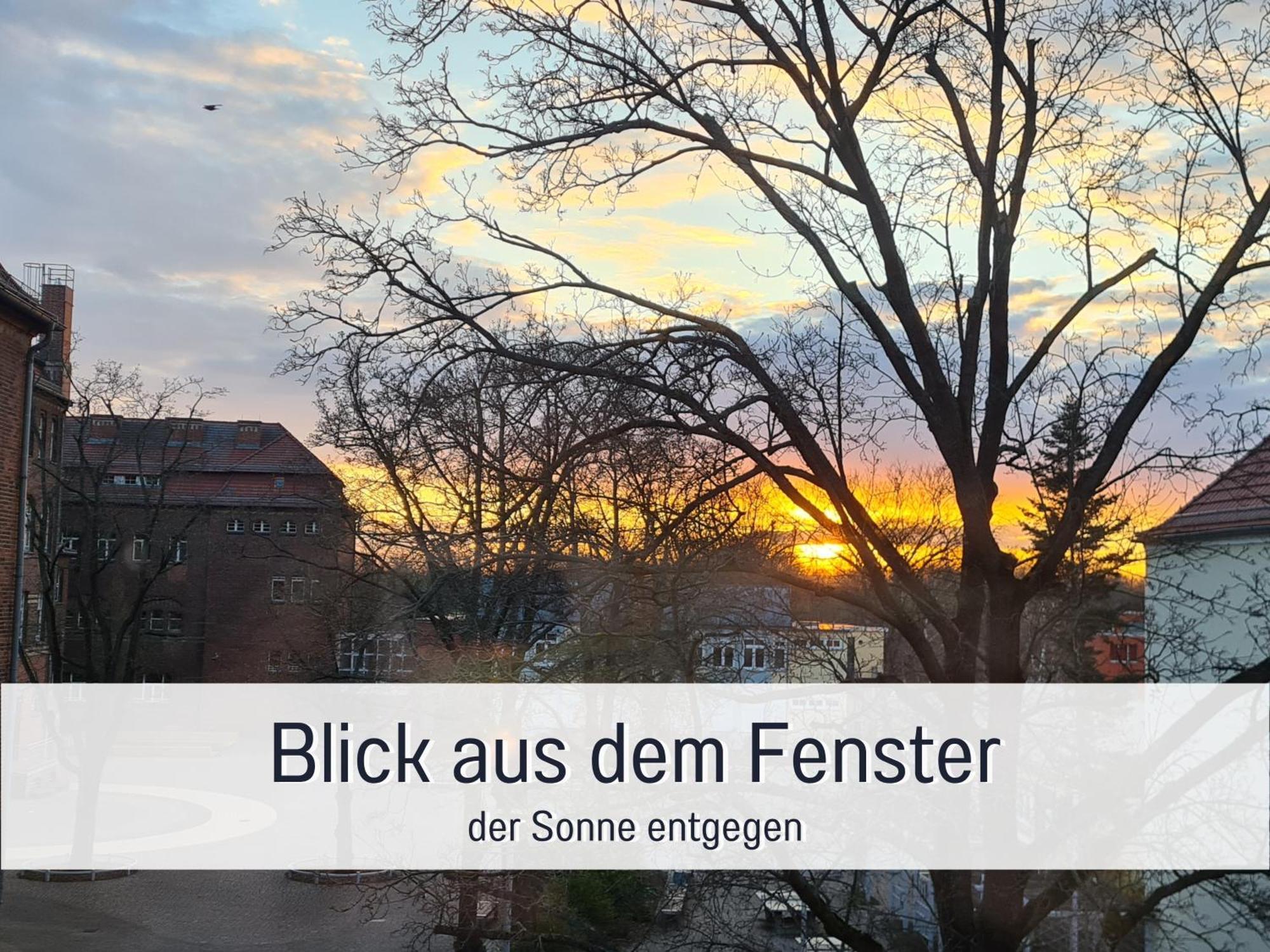 Lichtdurchflutete Moderne Stadtwohnung, Kueche, Waschtrockner, Smarttv Brandenburg  Luaran gambar